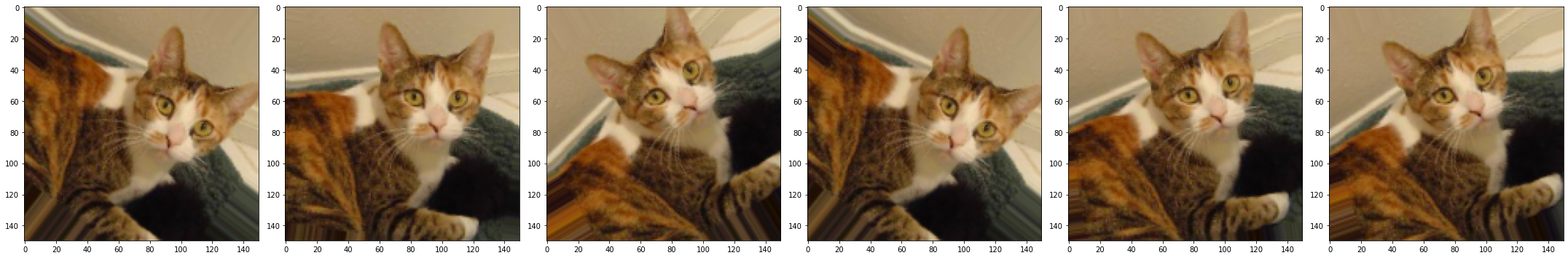 cats and dogs 3