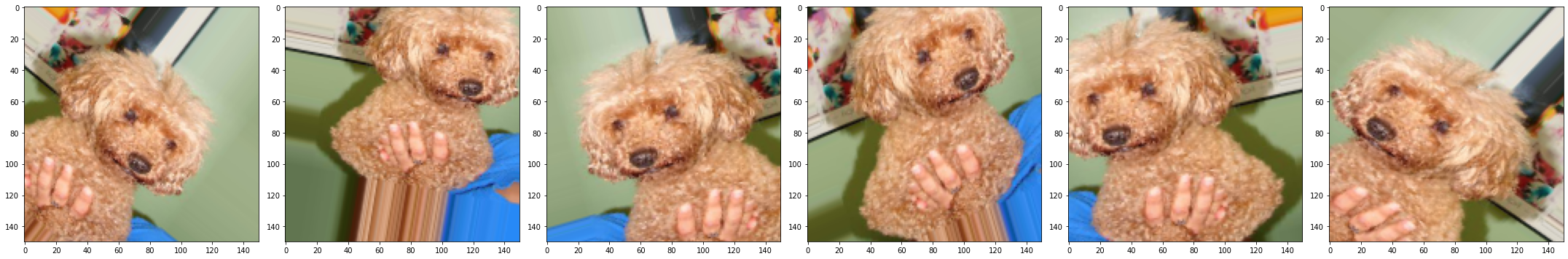 cats and dogs 5