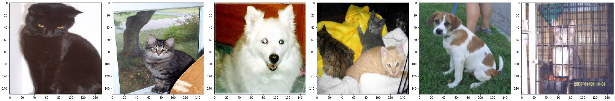 cats and dogs